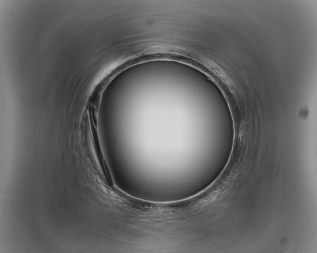 X0000097480877200802291356