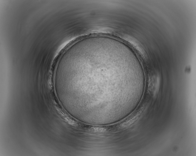 X0000097480878200802291356