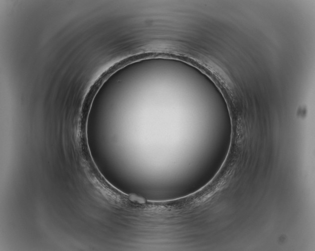 X0000097480880200802291356