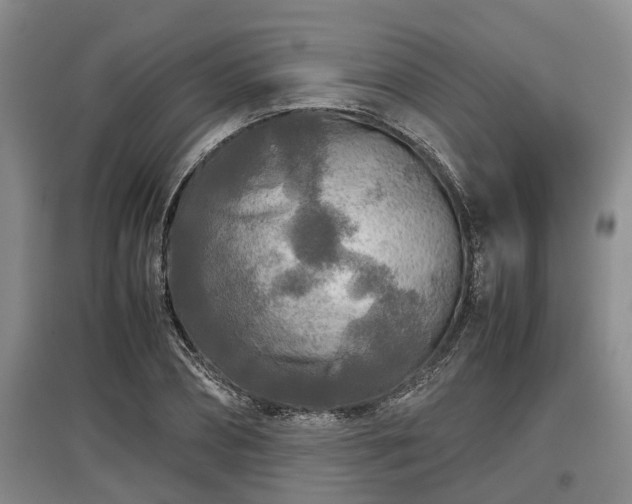 X0000097480882200802291356