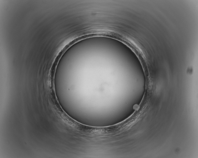 X0000097480883200802291356