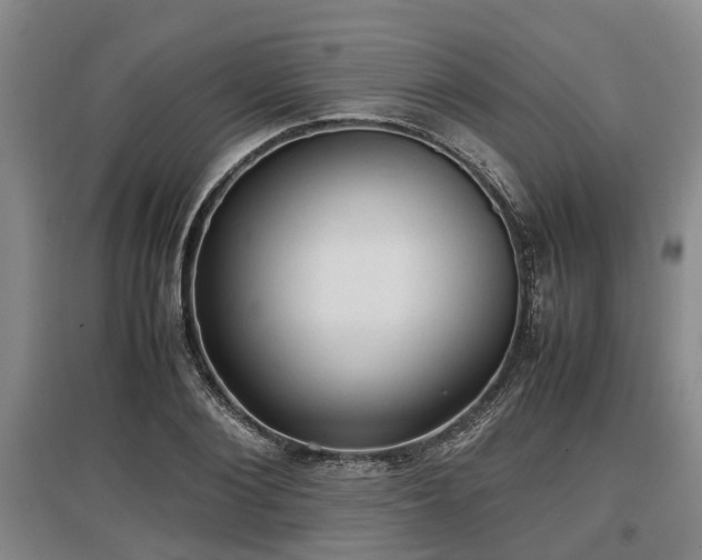 X0000097480884200802291356