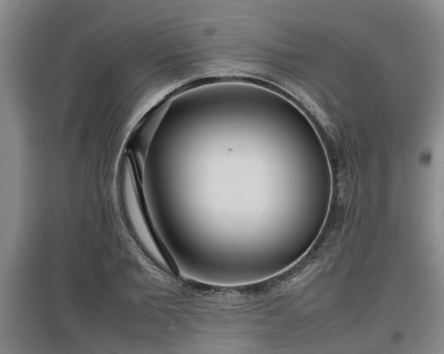 X0000097480885200802291356