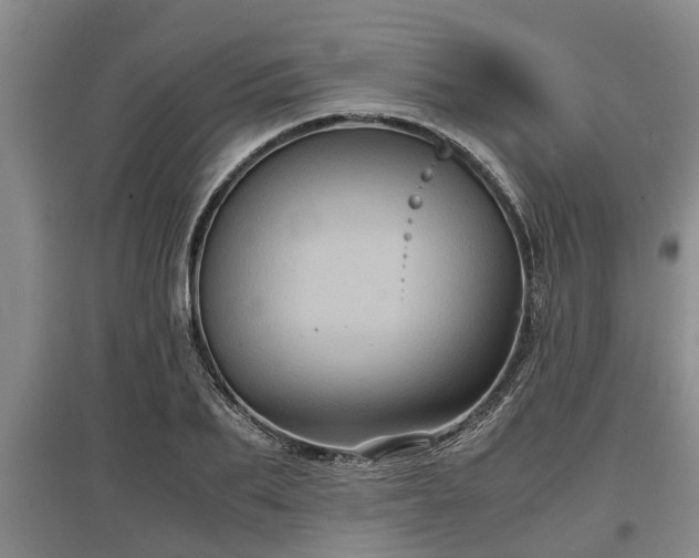 X0000097480887200802291356