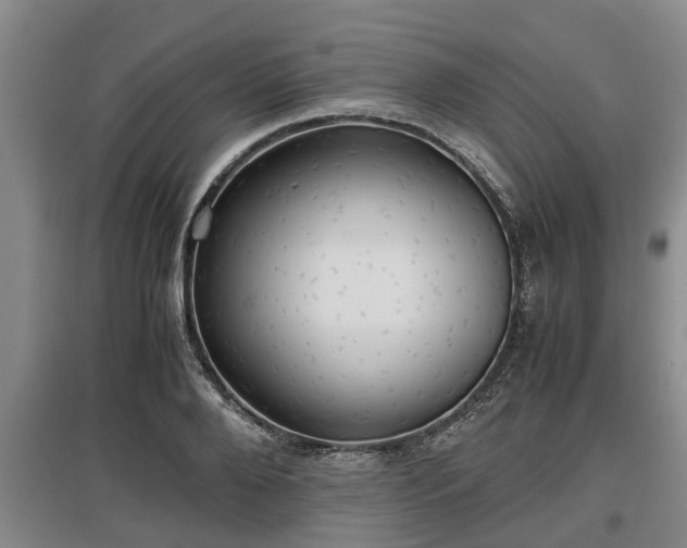 X0000097480888200802291356