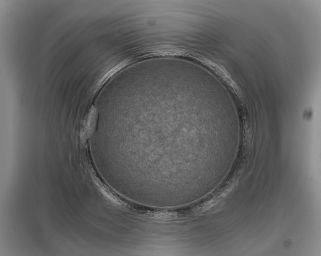 X0000097480889200802291356