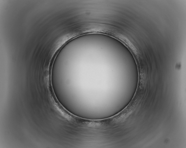 X0000097480890200802291355
