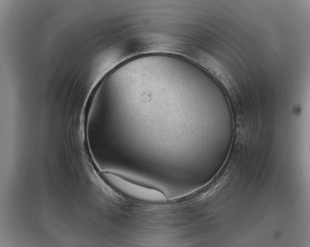 X0000097480892200802291355