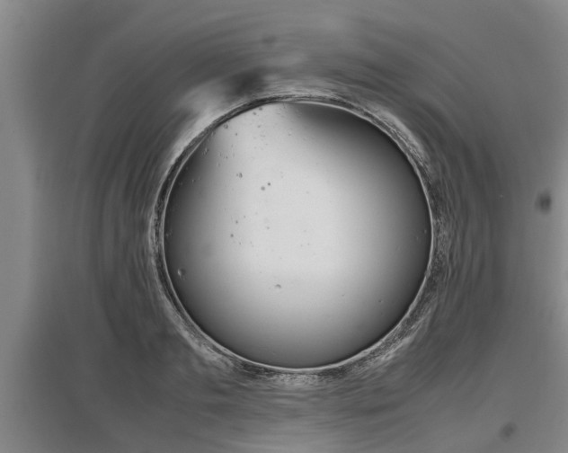 X0000097480893200802291355