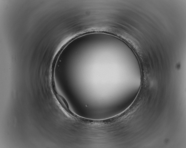 X0000097480894200802291355