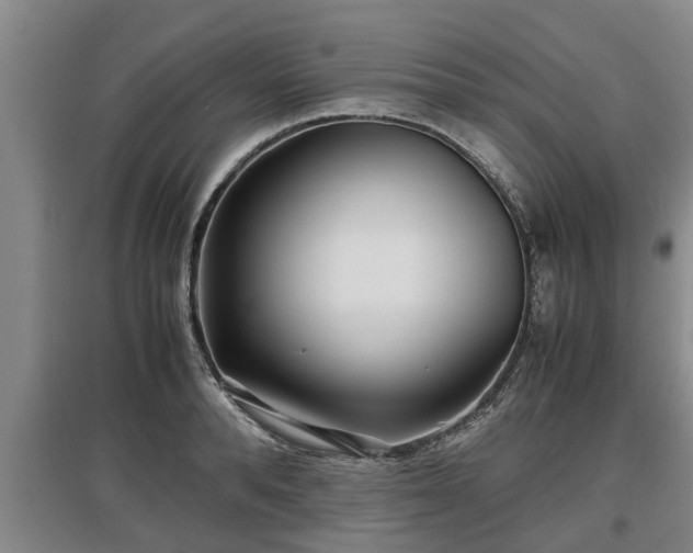 X0000097480896200802291355