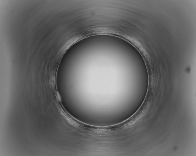 X0000097480897200802291355