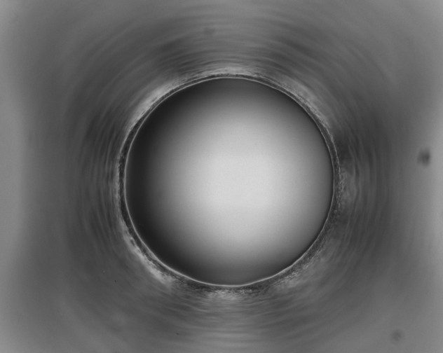 X0000097480898200802291355