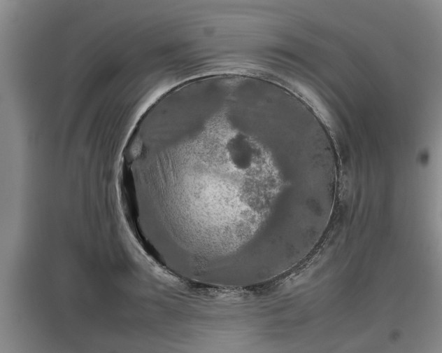 X0000097480899200802291355