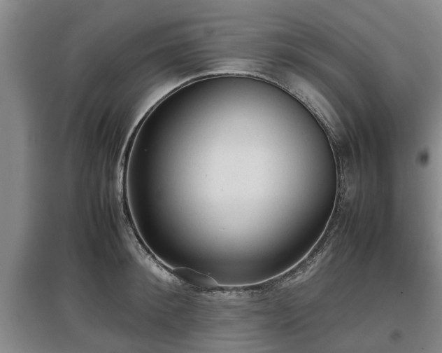 X0000097480900200802291355