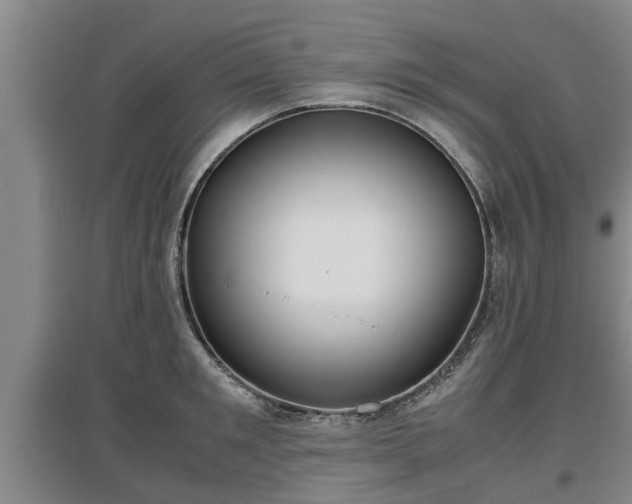 X0000097480901200802291355