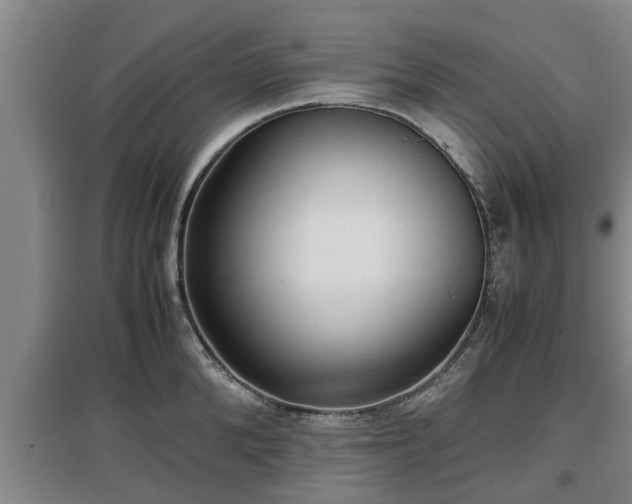 X0000097480904200802291355