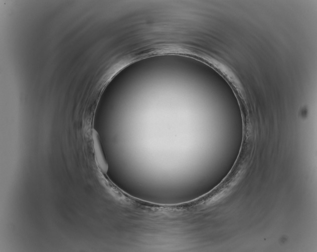 X0000097480905200802291355