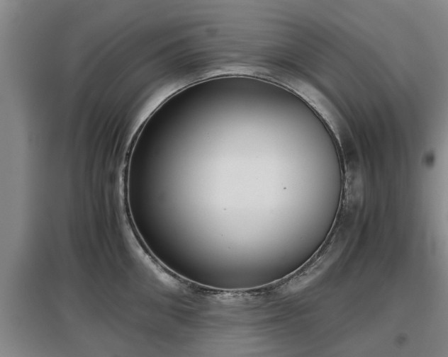 X0000097480906200802291355