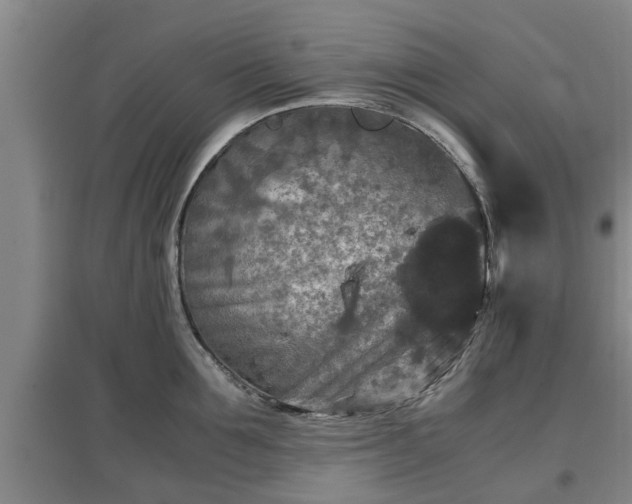 X0000097480907200802291355