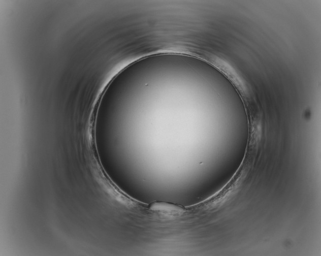 X0000097480908200802291355