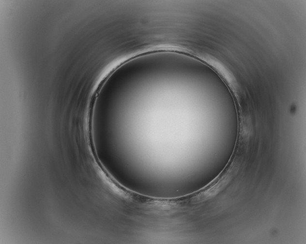 X0000097480910200802291355