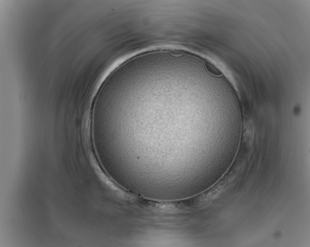 X0000097480911200802291355