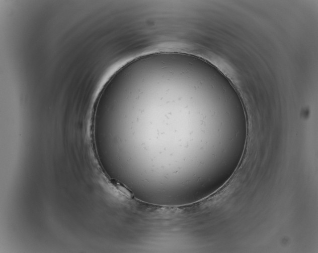 X0000097480912200802291355