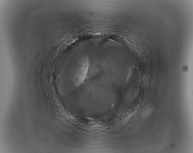 X0000097480913200802291354