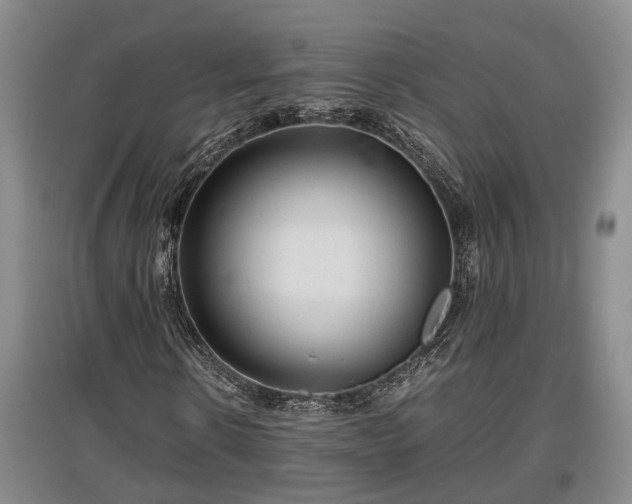 X0000097480914200802291355