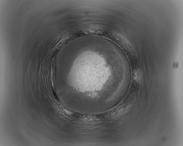 X0000097480915200802291355