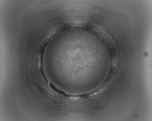 X0000097480916200802291355