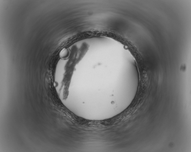 X0000097480918200802291355