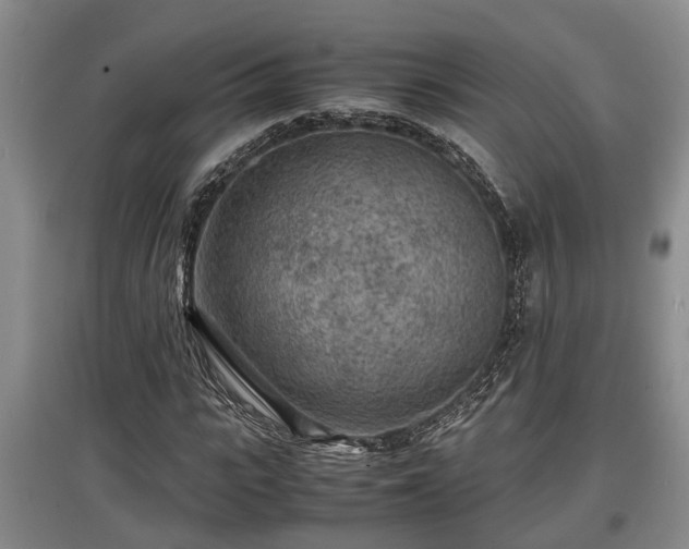 X0000097480919200802291355