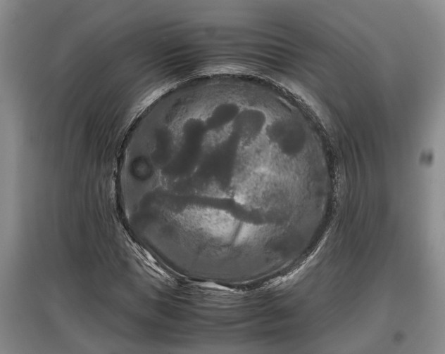 X0000097480921200802291355