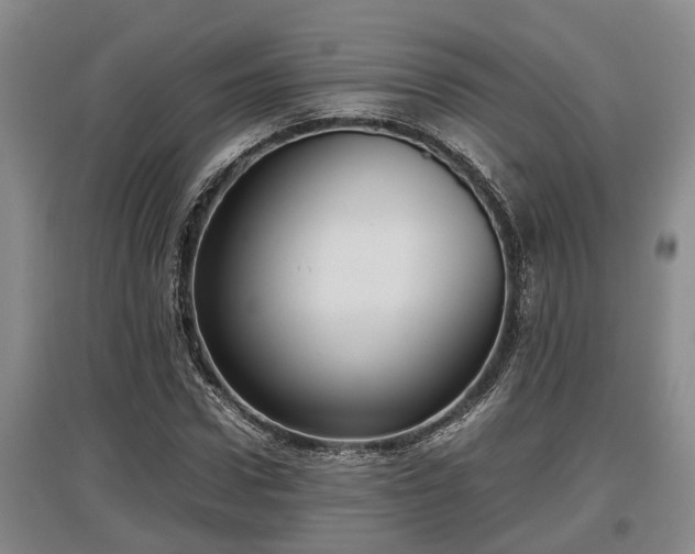 X0000097480922200802291355