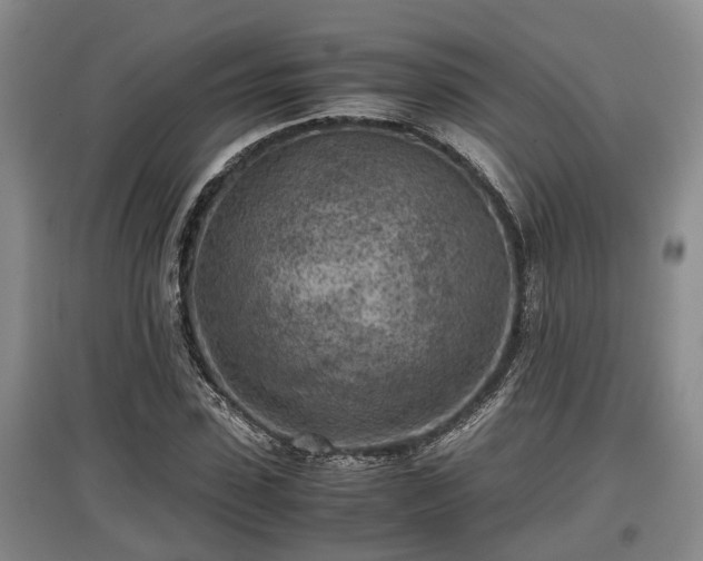 X0000097480923200802291355