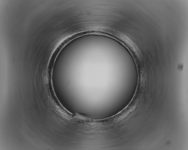 X0000097480924200802291355