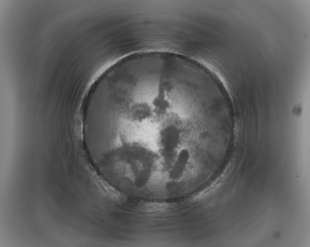 X0000097480925200802291355