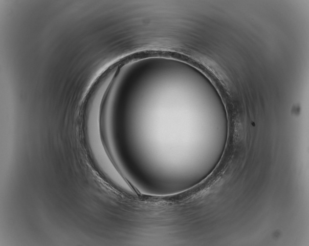 X0000097480926200802291355