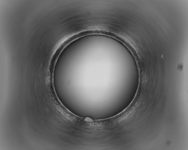 X0000097480927200802291355