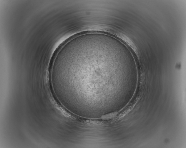 X0000097480928200802291355
