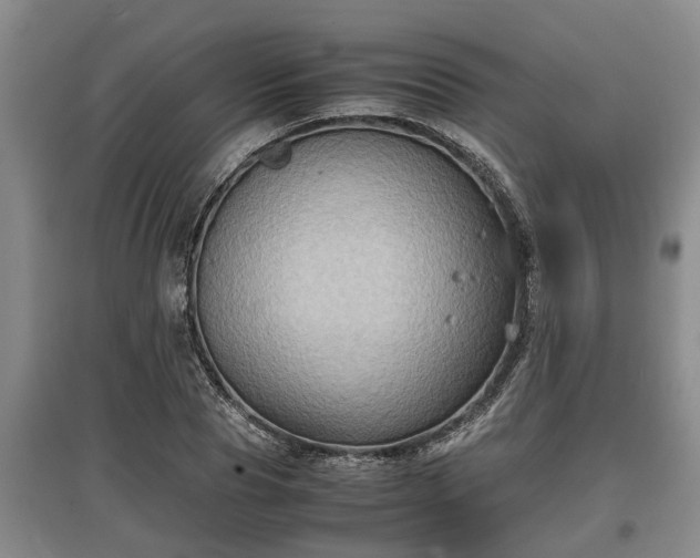 X0000097480929200802291355