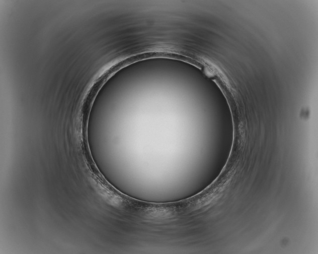 X0000097480931200802291355