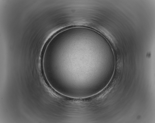X0000097480932200802291355