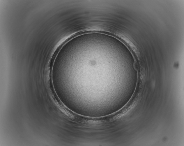 X0000097480933200802291355