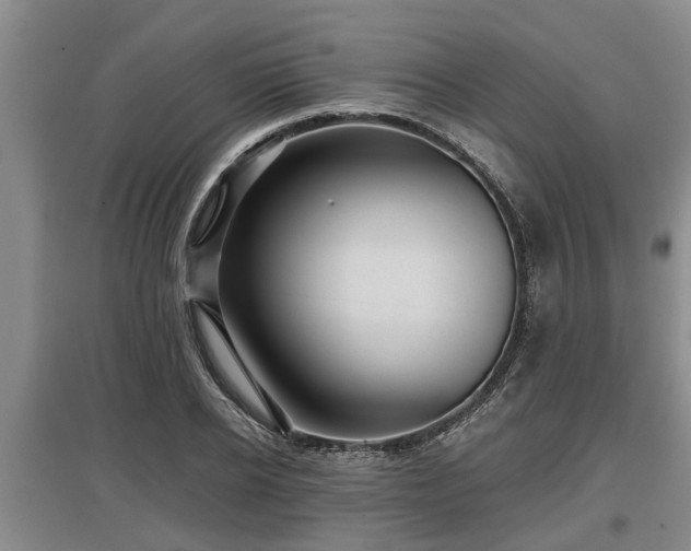 X0000097480934200802291355