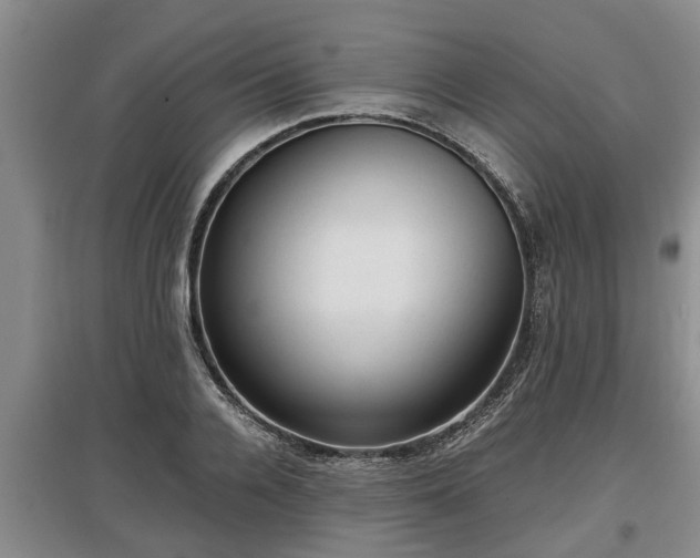 X0000097480936200802291355