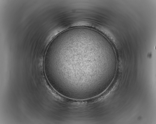 X0000097480937200802291355