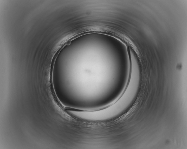 X0000097480938200802291355